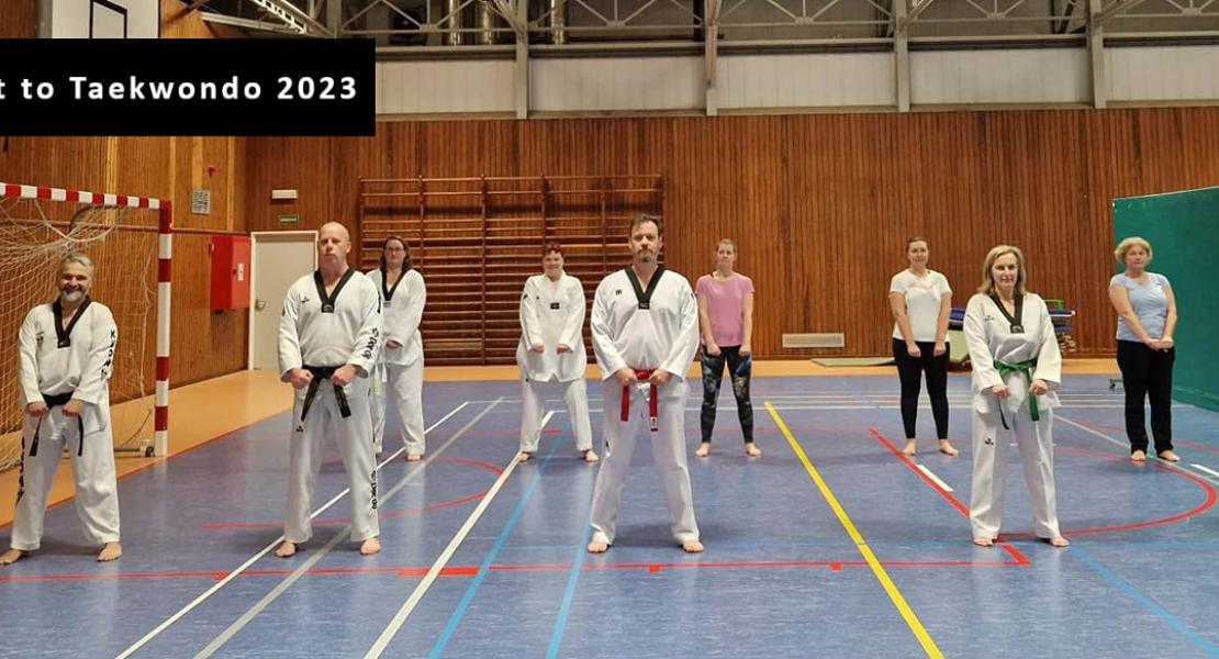 Start 2 Taekwondo voor volwassenen
